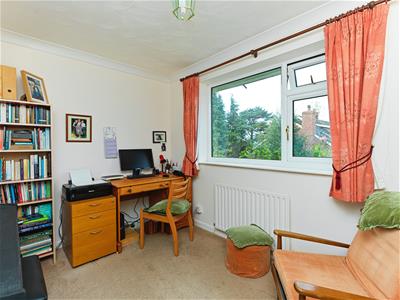 Picture 22